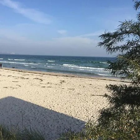Tasteful In The Baltic Sea